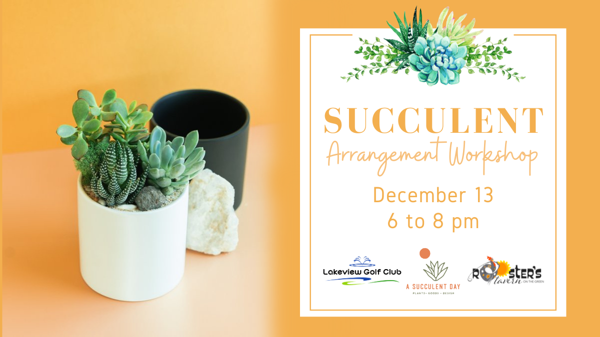 Succulent Arrangement Workshop